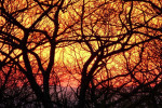 Zonsondergang op Lewis Mountain